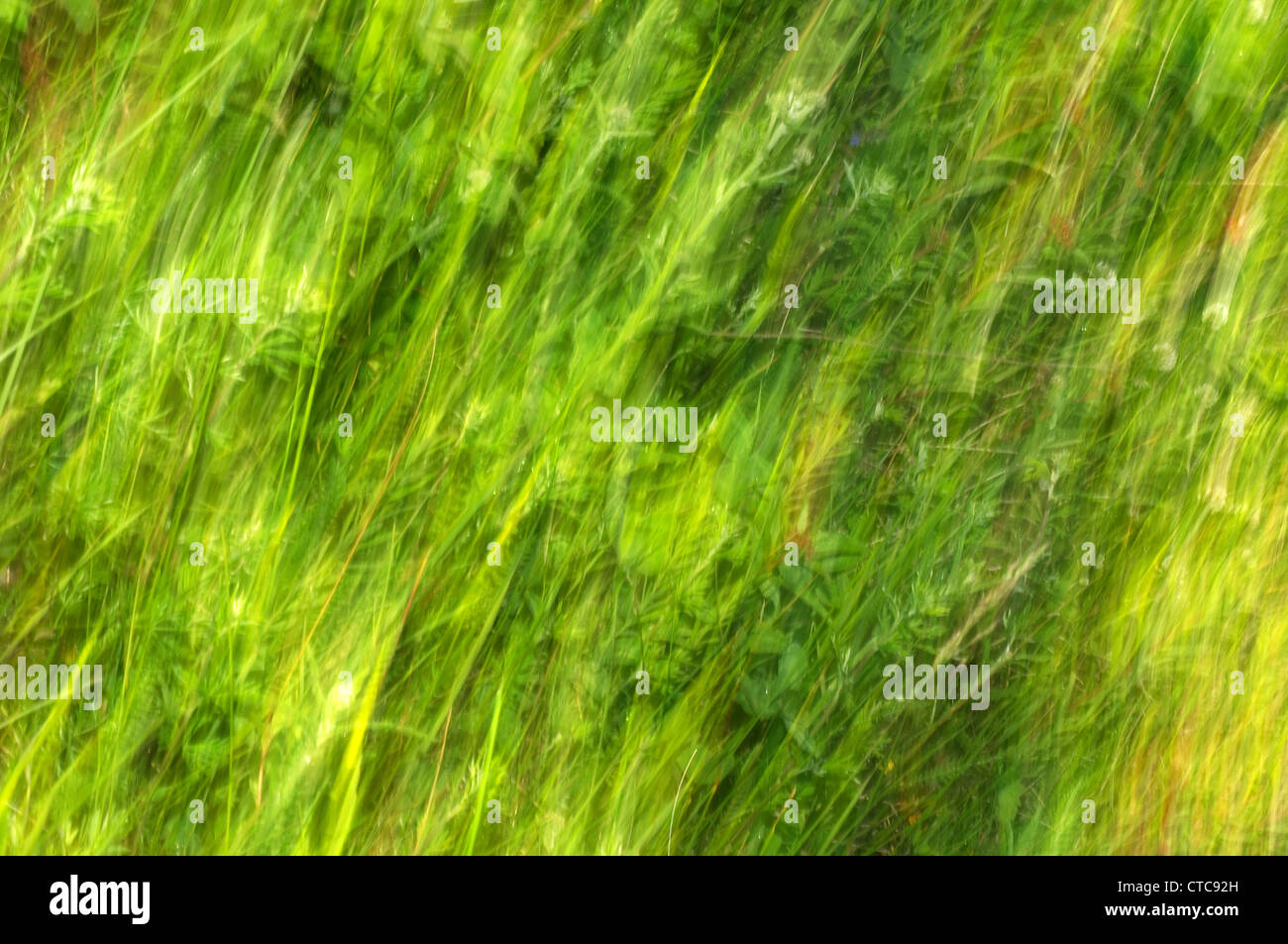 Abstract background, green grass Stock Photo - Alamy