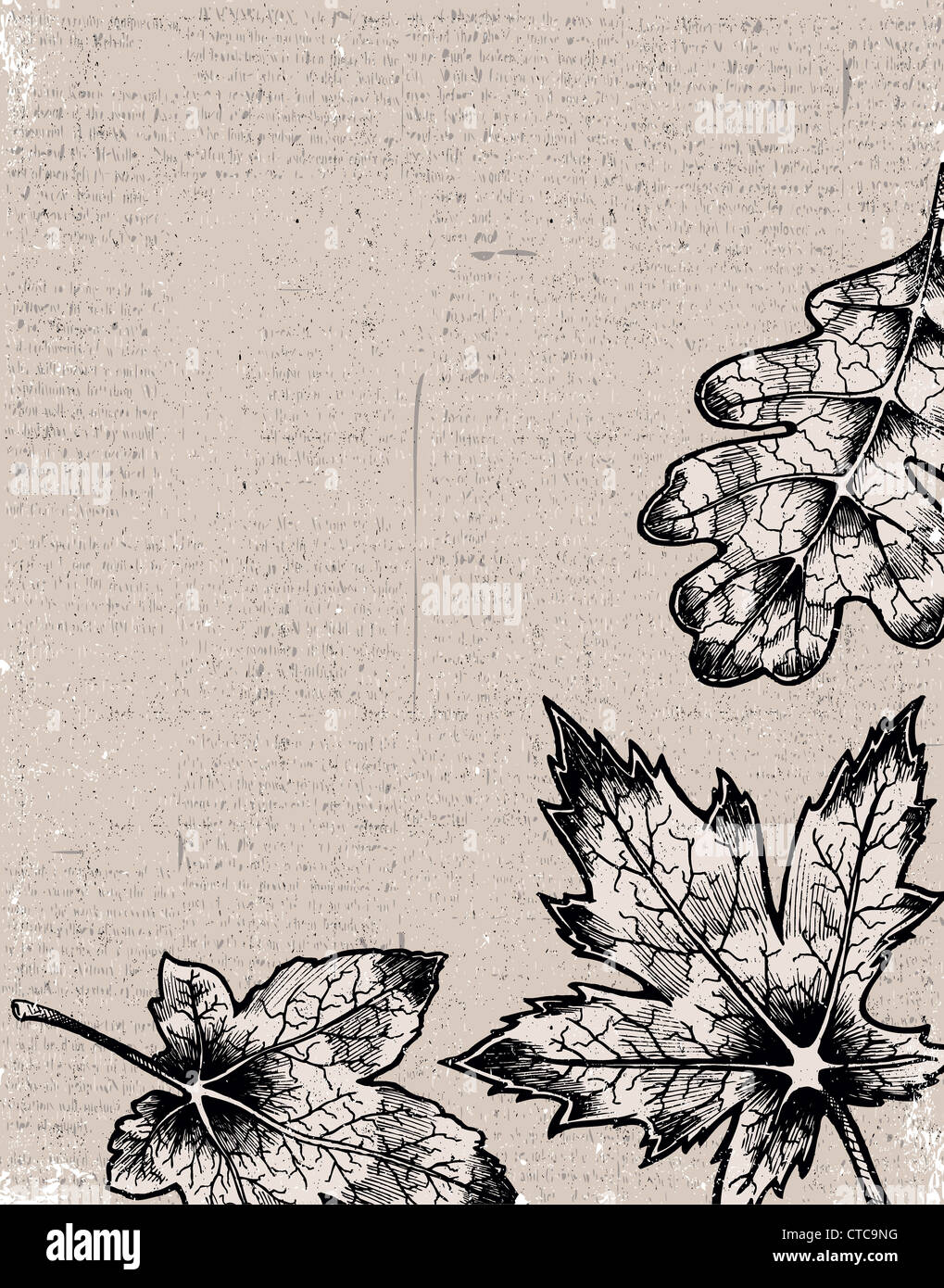 grunge background with leaves vector illustration Stock Photo - Alamy