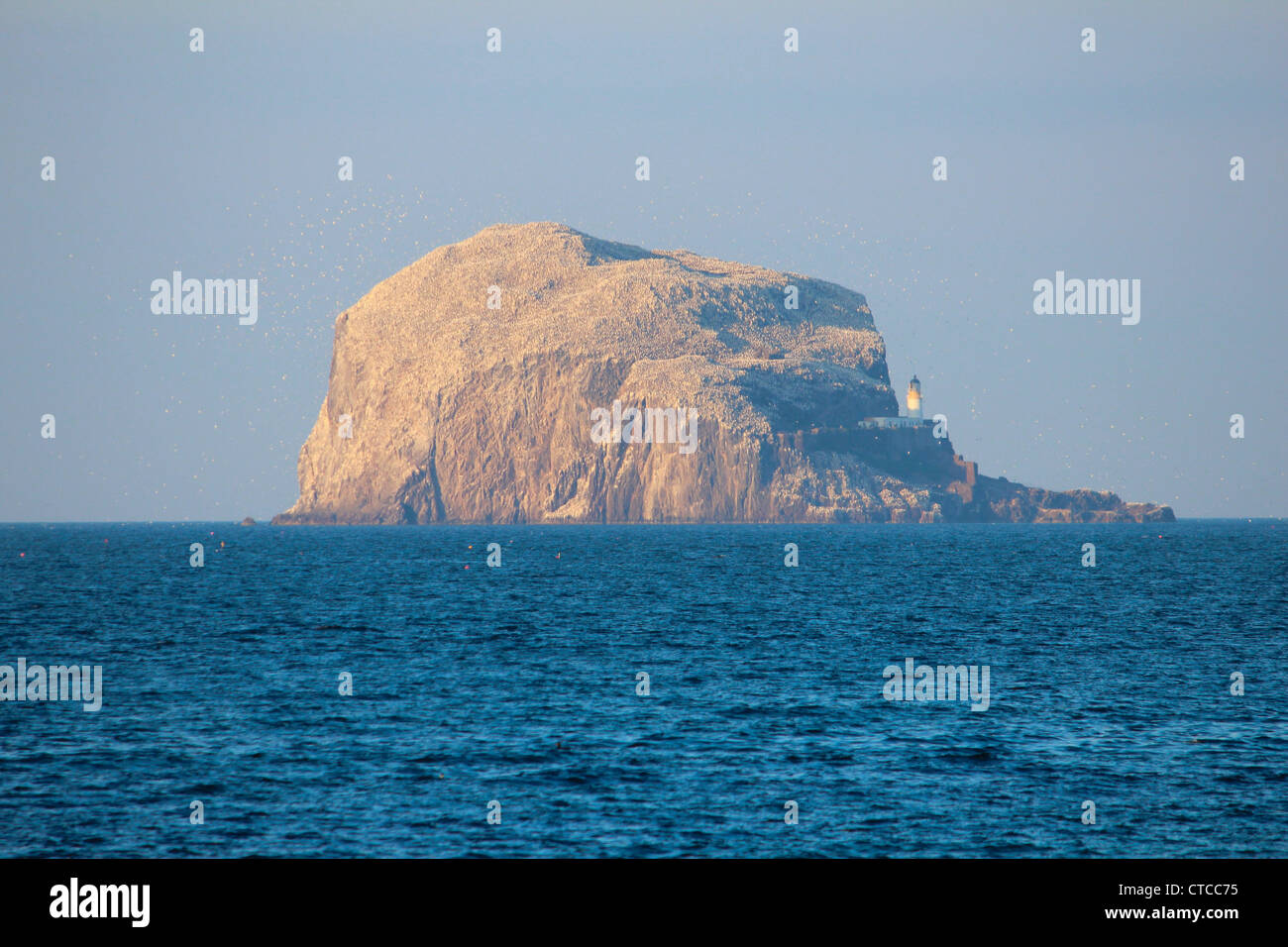 Bass Rock, Bash Rock, North Berwick Stock Photo - Alamy