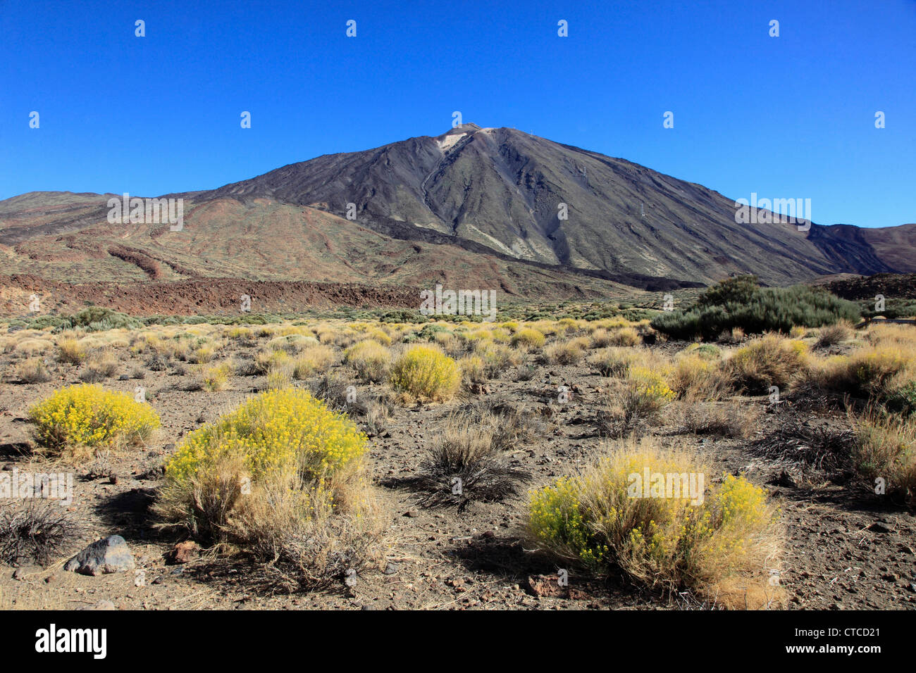 Spain, Canary Islands, Tenerife, Pico del Teide, volcano, Stock Photo