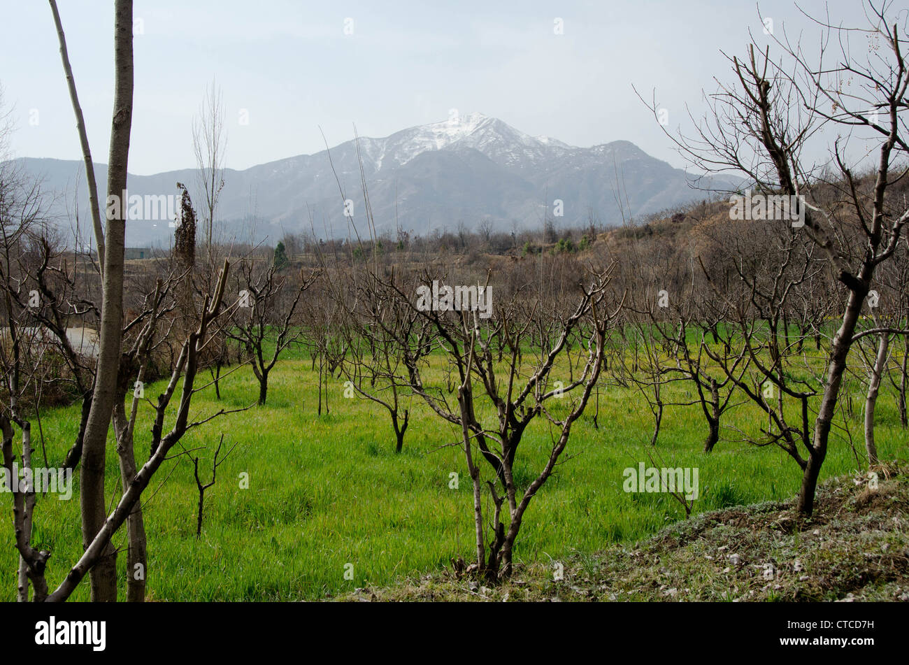 Swat valley Pakistan Stock Photo