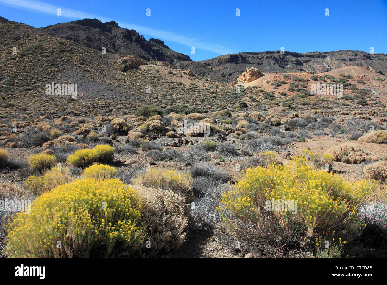 Spain, Canary Islands, Tenerife, Parque Nacional del Teide, landscape, Stock Photo