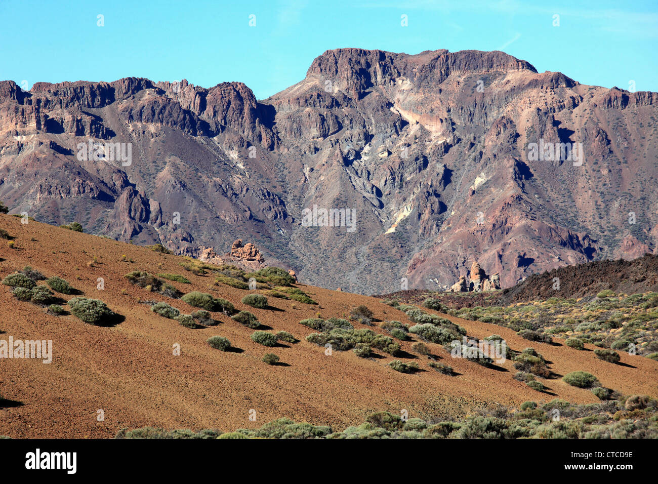 Spain, Canary Islands, Tenerife, Parque Nacional del Teide, landscape, Stock Photo