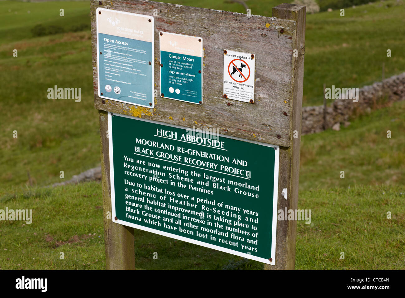 High Abbotside Moorland Regeneration and Black Grouse Recovery Project. Information sign on moorland in Yorkshire Dales UK Stock Photo