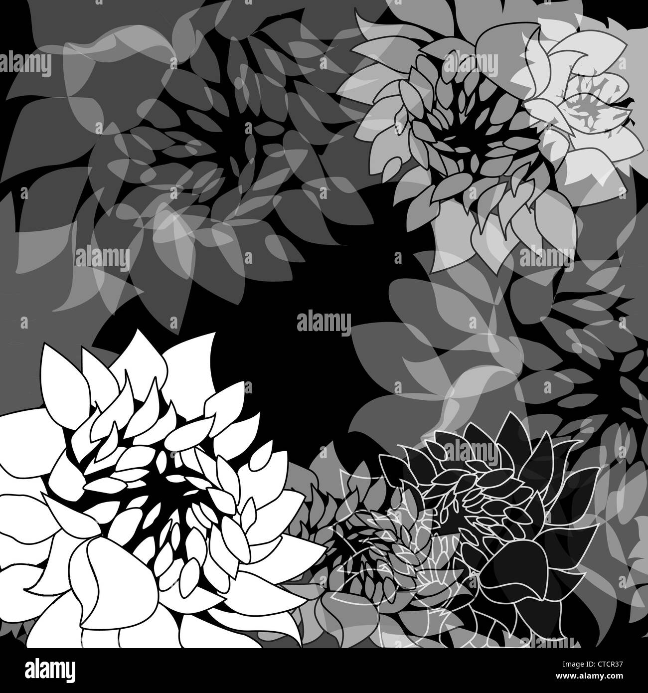 Black and white floral background Stock Photo - Alamy