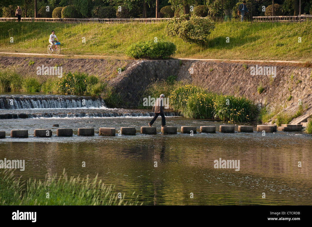 Stepping stones give pedestrians a way to cross the peaceful Kamo River (Kamo-gawa) in central Kyoto, Japan Stock Photo