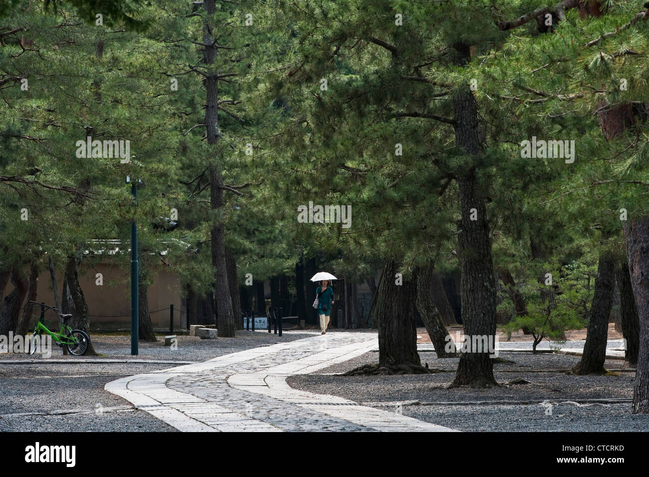 A woman with an umbrella walking through the quiet grounds of Daitoku-ji Buddhist temple, Kyoto, Japan, among Japanese black pines (pinus thunbergii) Stock Photo