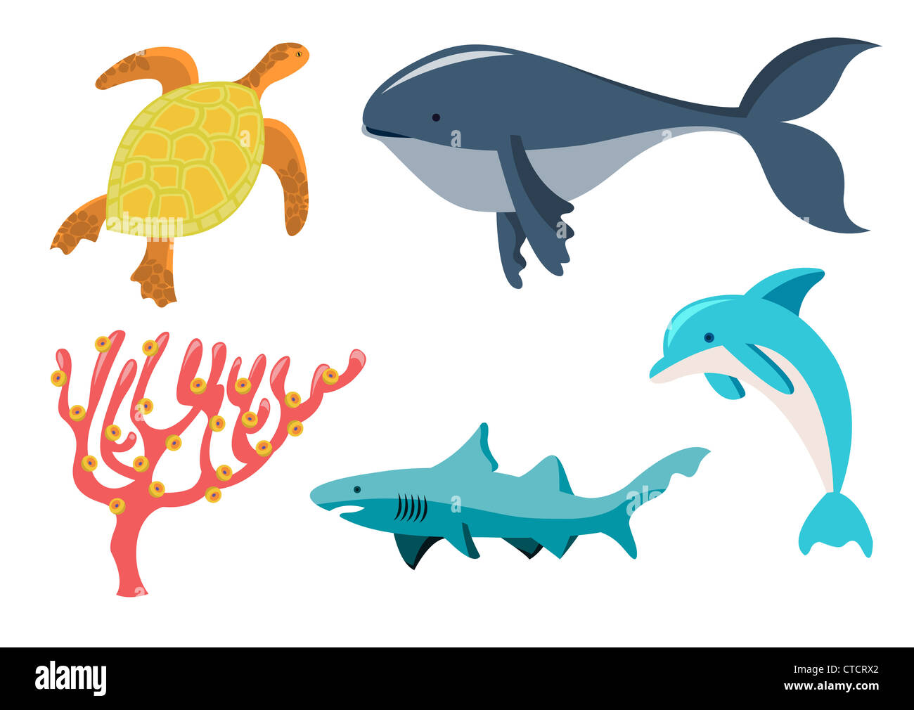 Vector illustration of funny sea animals icons . Our aquatic friends that  you can meet on the while diving Stock Photo - Alamy
