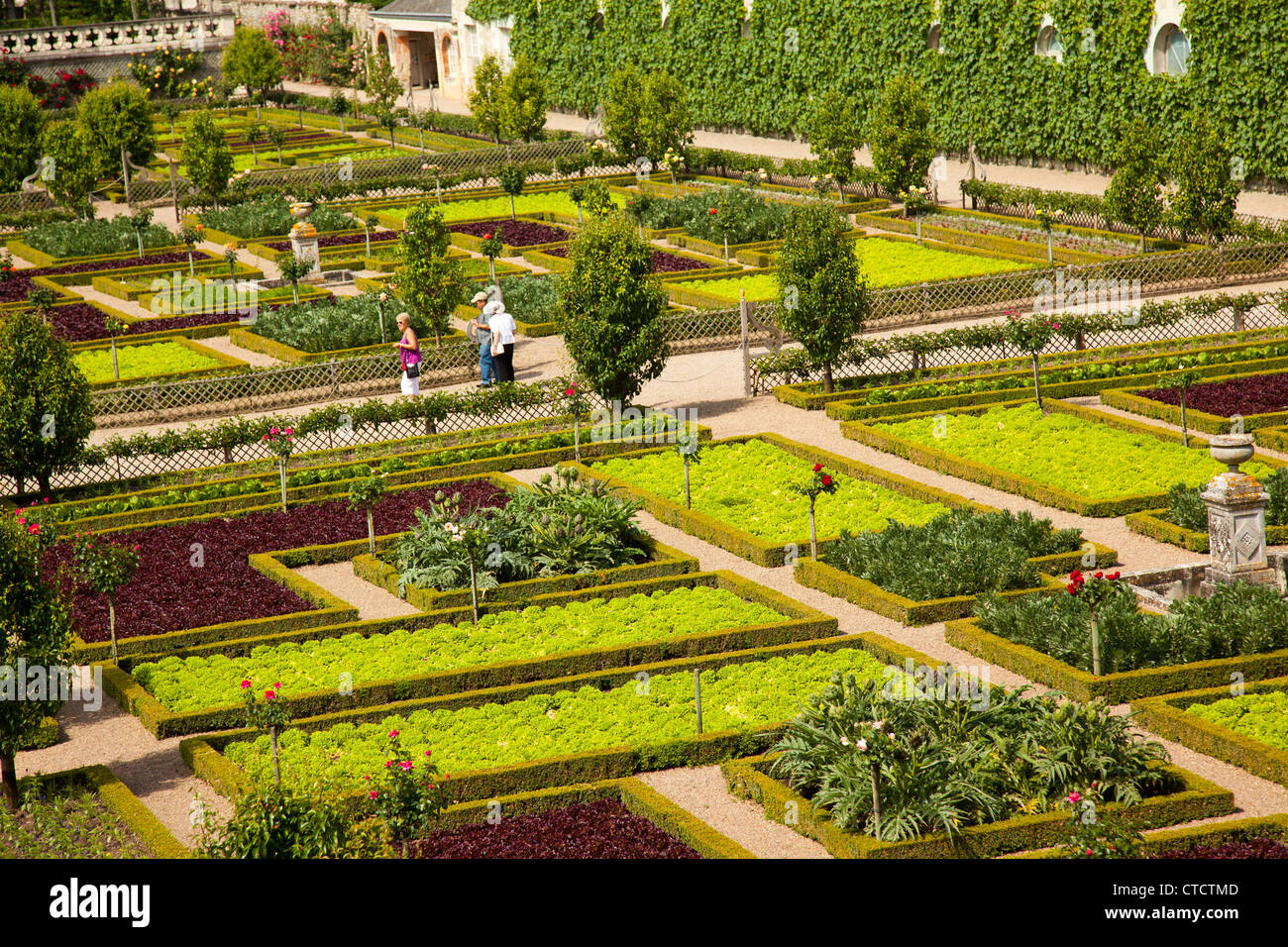 The ornamental gardens of Chateau Villandry in the Loire Valley of France. Stock Photo