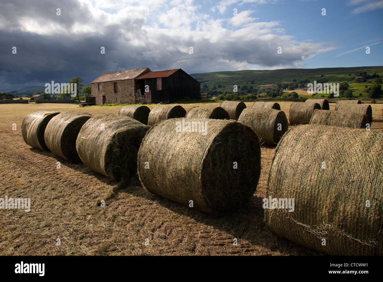 Fresh Cut and baled Silage,in farm field near Bainbridge, North Yorkshire Dales, UK Stock Photo