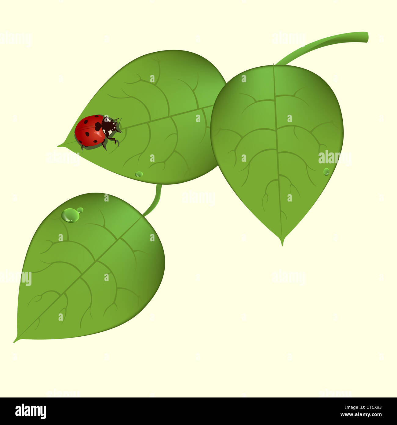 Vector illustration of funky ladybug sitting on the green leaves Stock ...