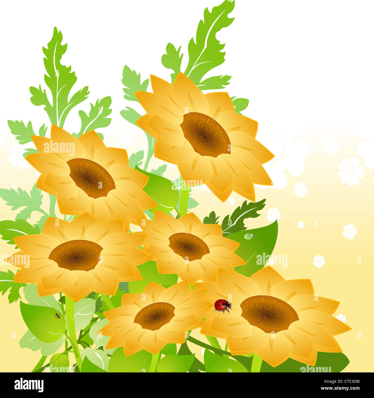 Illustration of sunflowers hi-res stock photography and images - Alamy