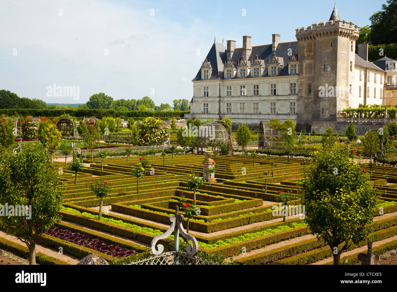 The ornamental gardens of Chateau Villandry in the Loire Valley of France. Stock Photo