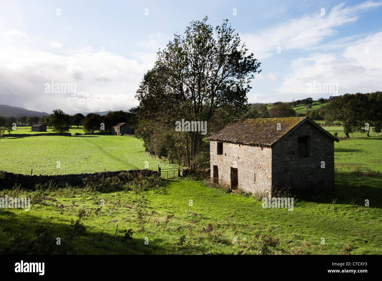 Field Barn Near West Burton Yorkshire Dales National Park Stock