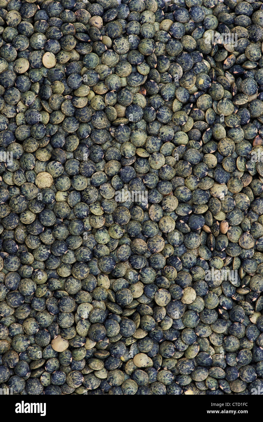 Green Lentils Stock Photo