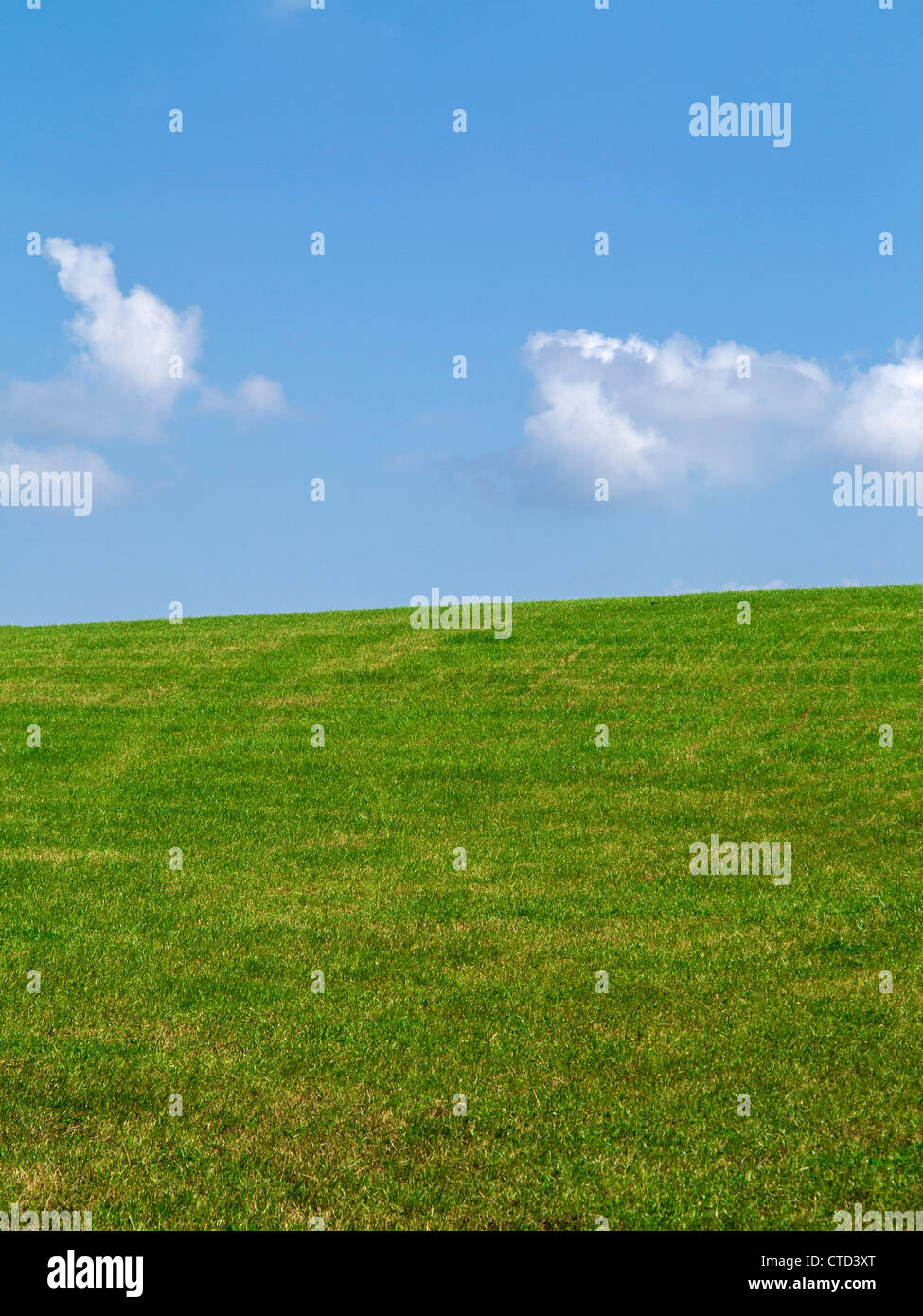 Rural scene of a grass field and blue sky with a few light clouds Stock Photo