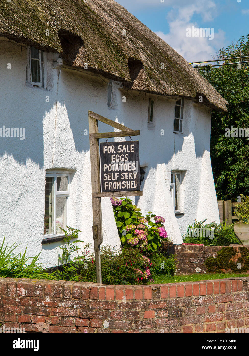 Thatched white washed farm house in Devon with sign saying for sale eggs, potatoes Stock Photo