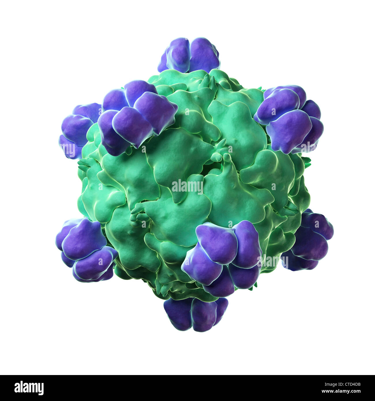Bacteriophage X-174 particle Stock Photo