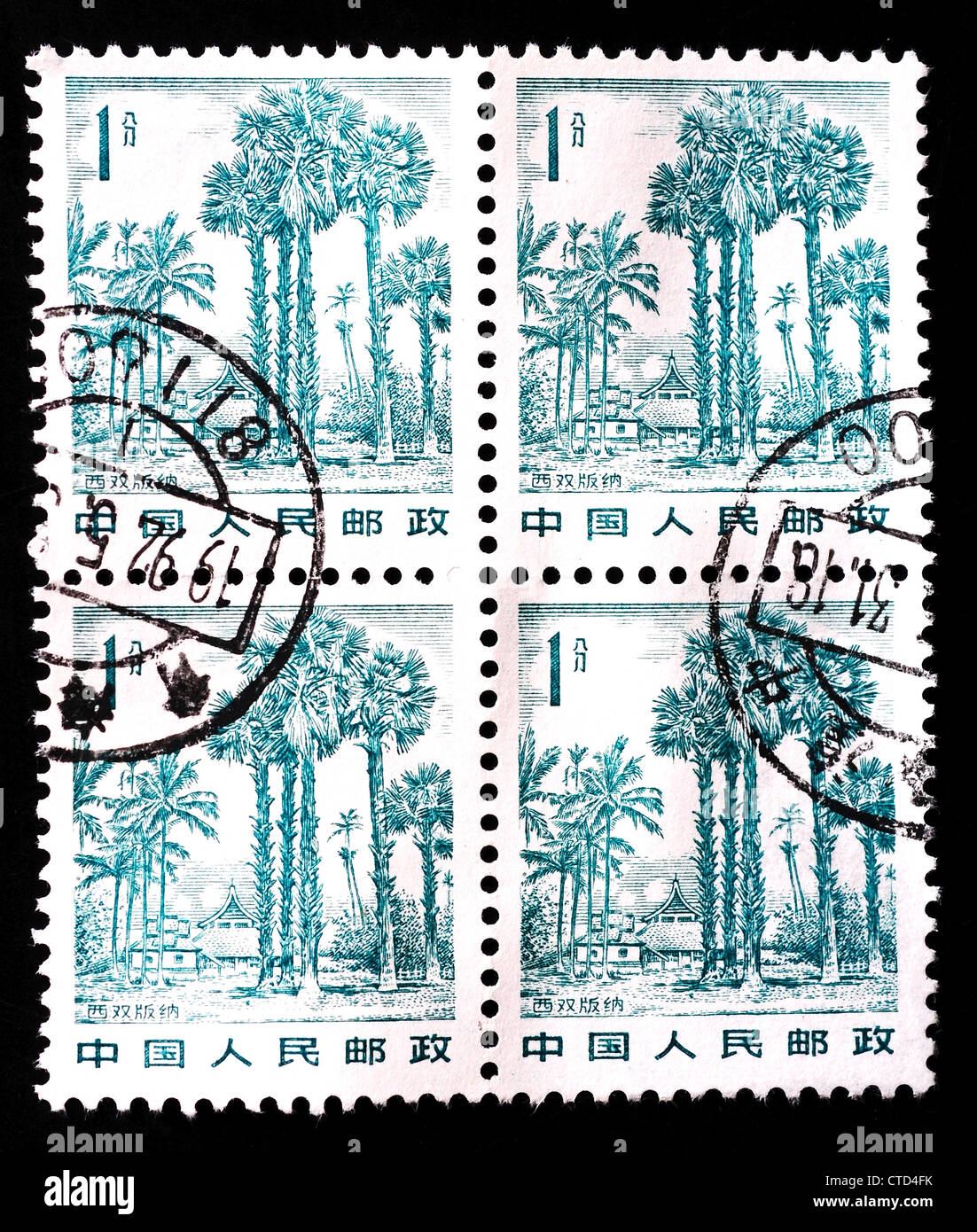 CHINA - CIRCA 1982: A stamp printed in China shows landscape in Xishuangbanna, circa 1982 Stock Photo