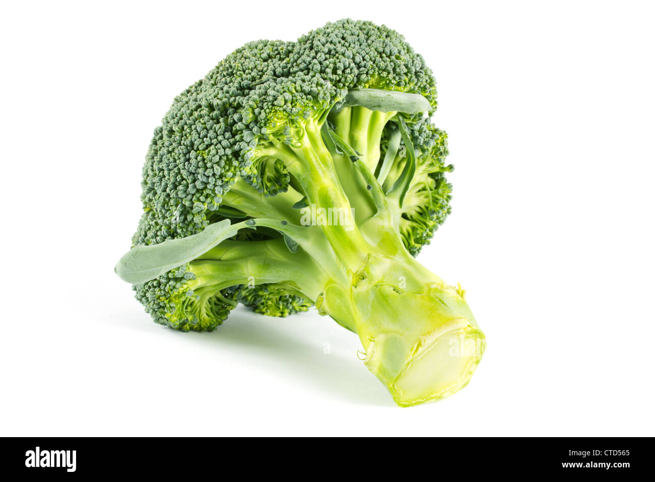 Fresh broccoli on a white background Stock Photo