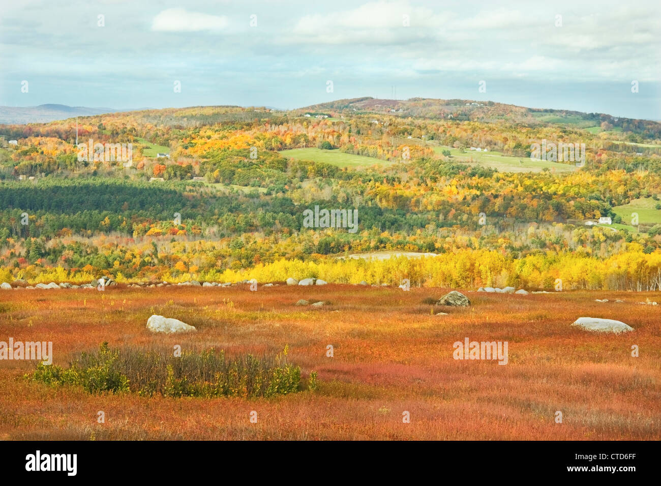 Stone wall new england forest hi-res stock photography and images - Alamy