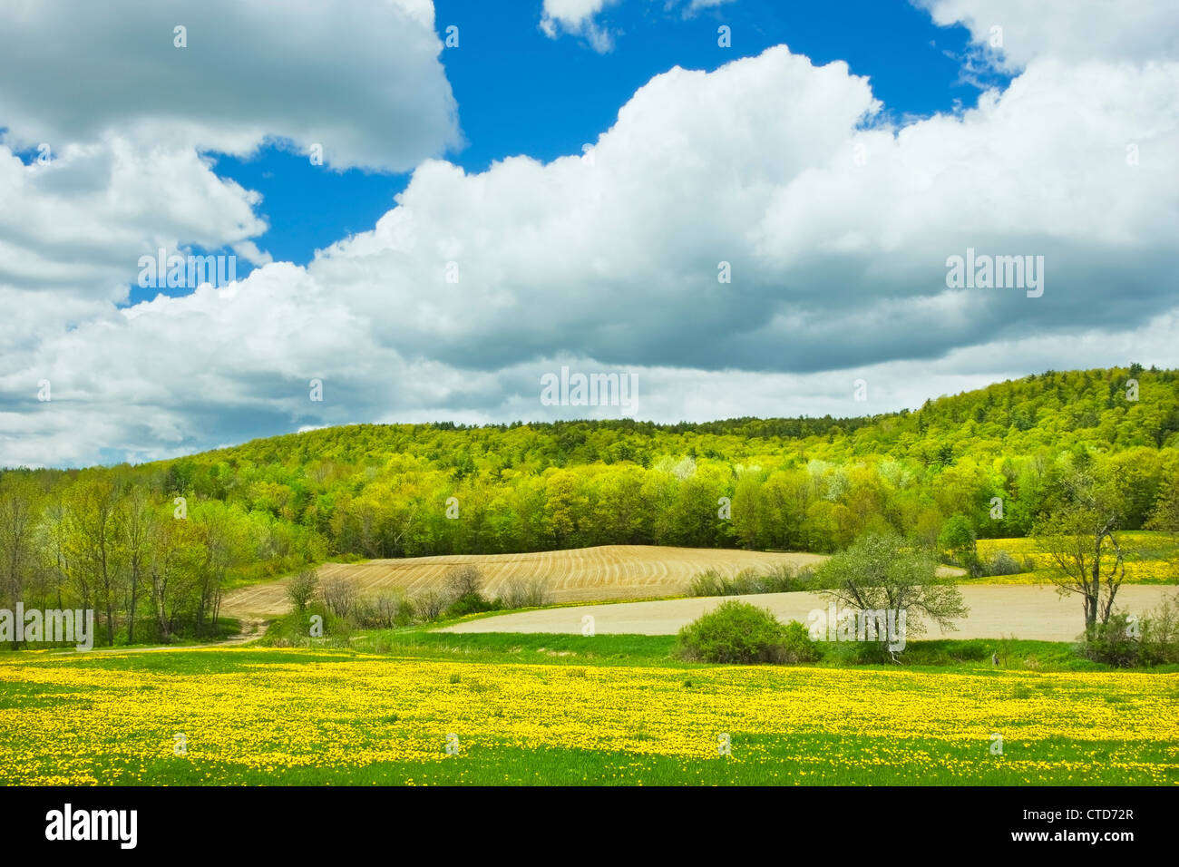 Clouds sky field england spring hi-res stock photography and images - Alamy