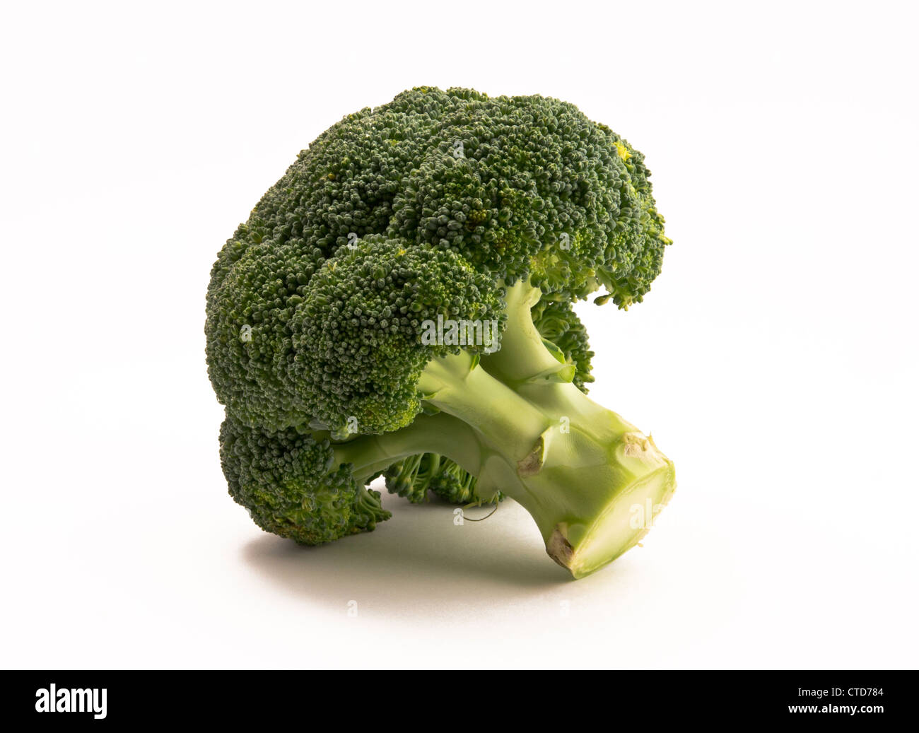 Fresh broccoli on a white background Stock Photo