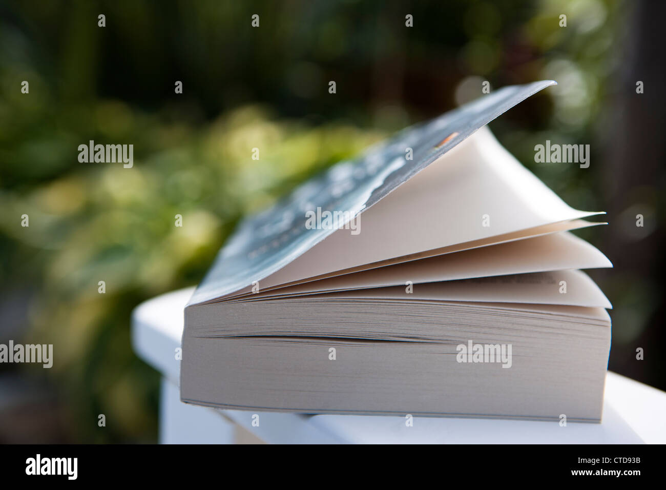 Shallow focus image of a book outdoors Stock Photo