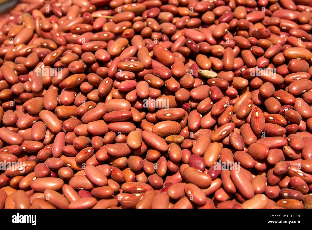 Close up of red, dry kidney beans as background Stock Photo