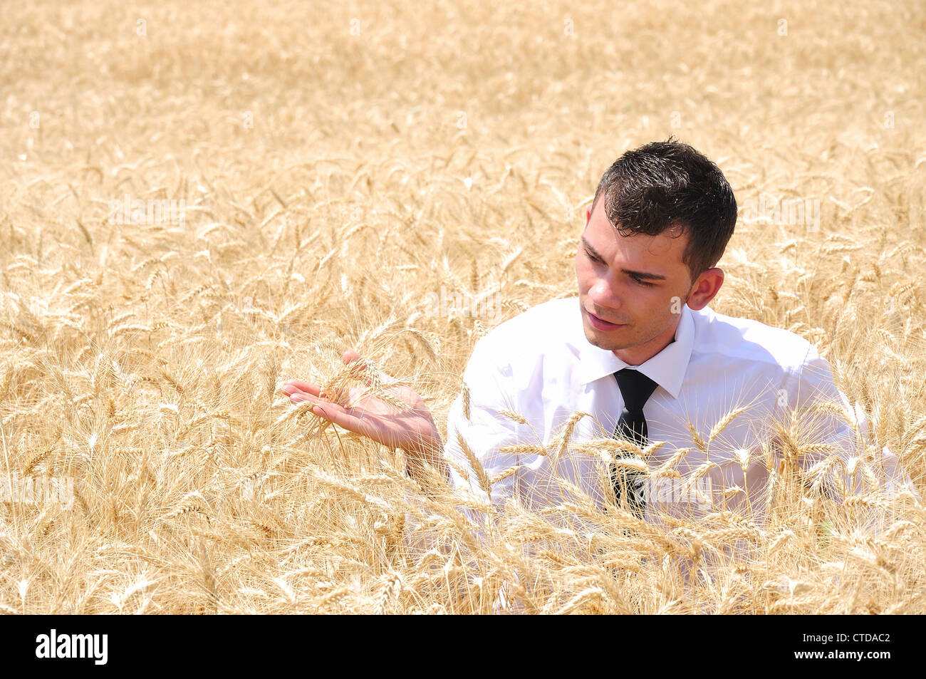 Man standing in rye field hi-res stock photography and images - Alamy