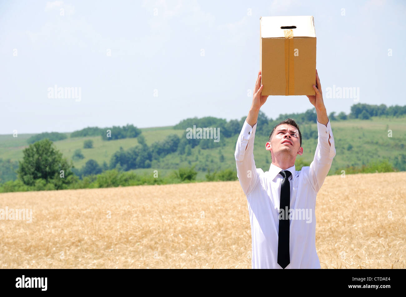 Business man delivering box in wheat Stock Photo