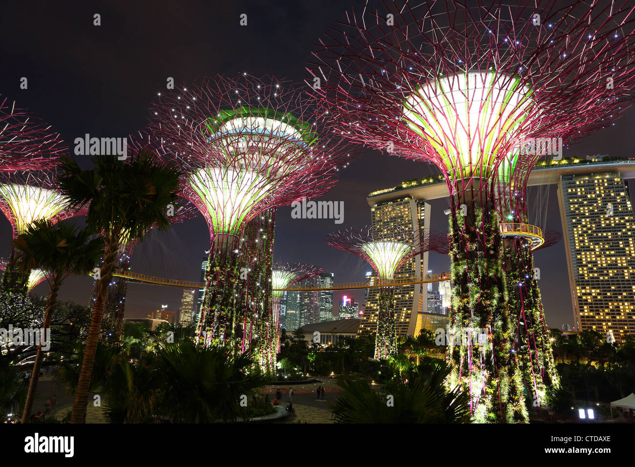 Supertree Grove at dusk in Gardens By The Bay, Singapore. Stock Photo