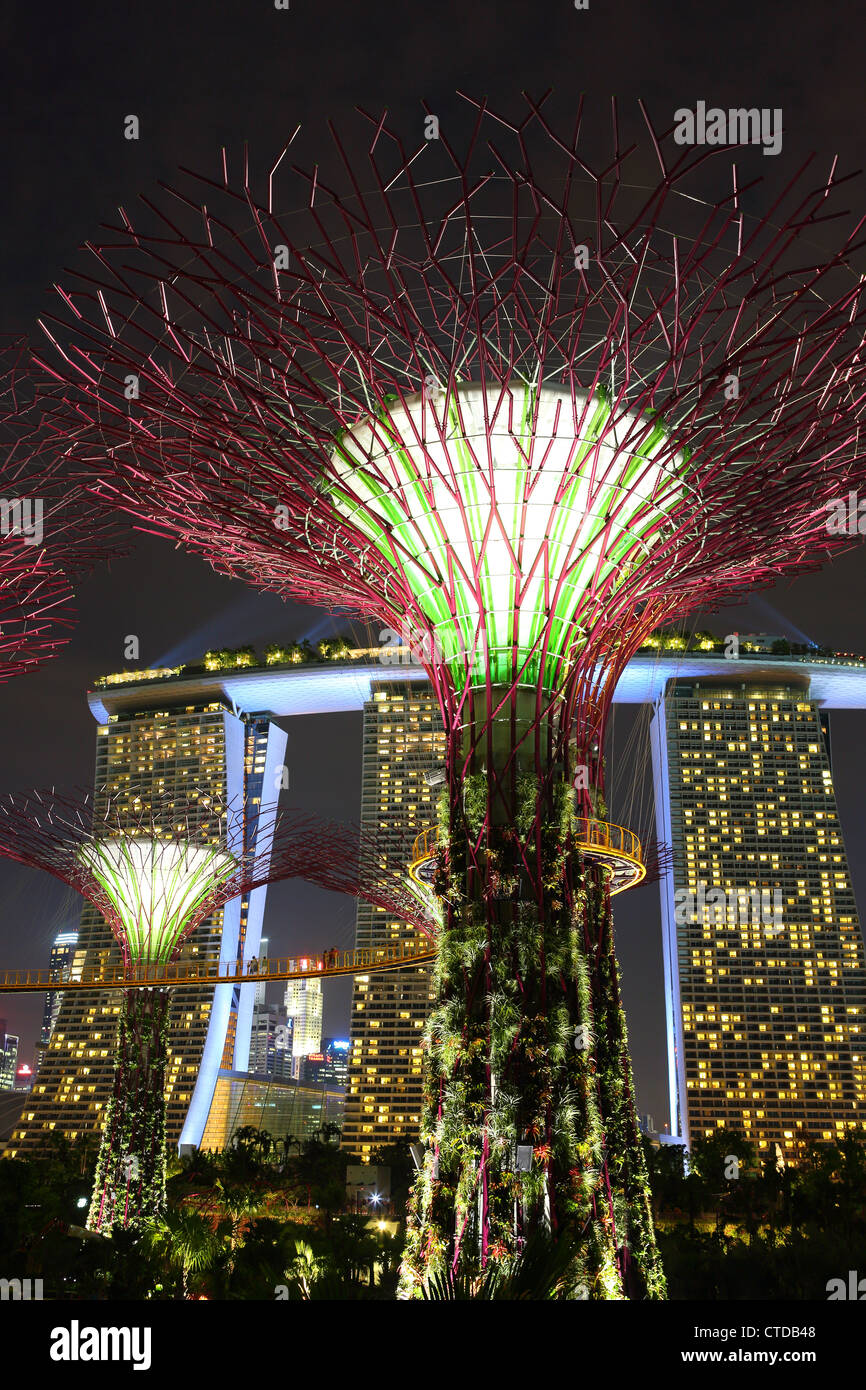 Supertree Grove at dusk in Gardens By The Bay, Singapore Stock Photo ...