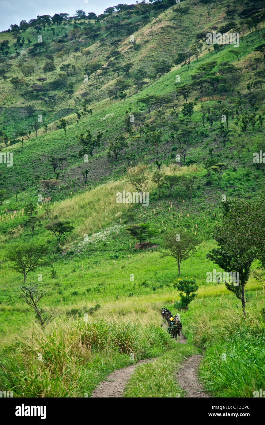 FARDC, Mushake, Democratic Republic of Congo Stock Photo