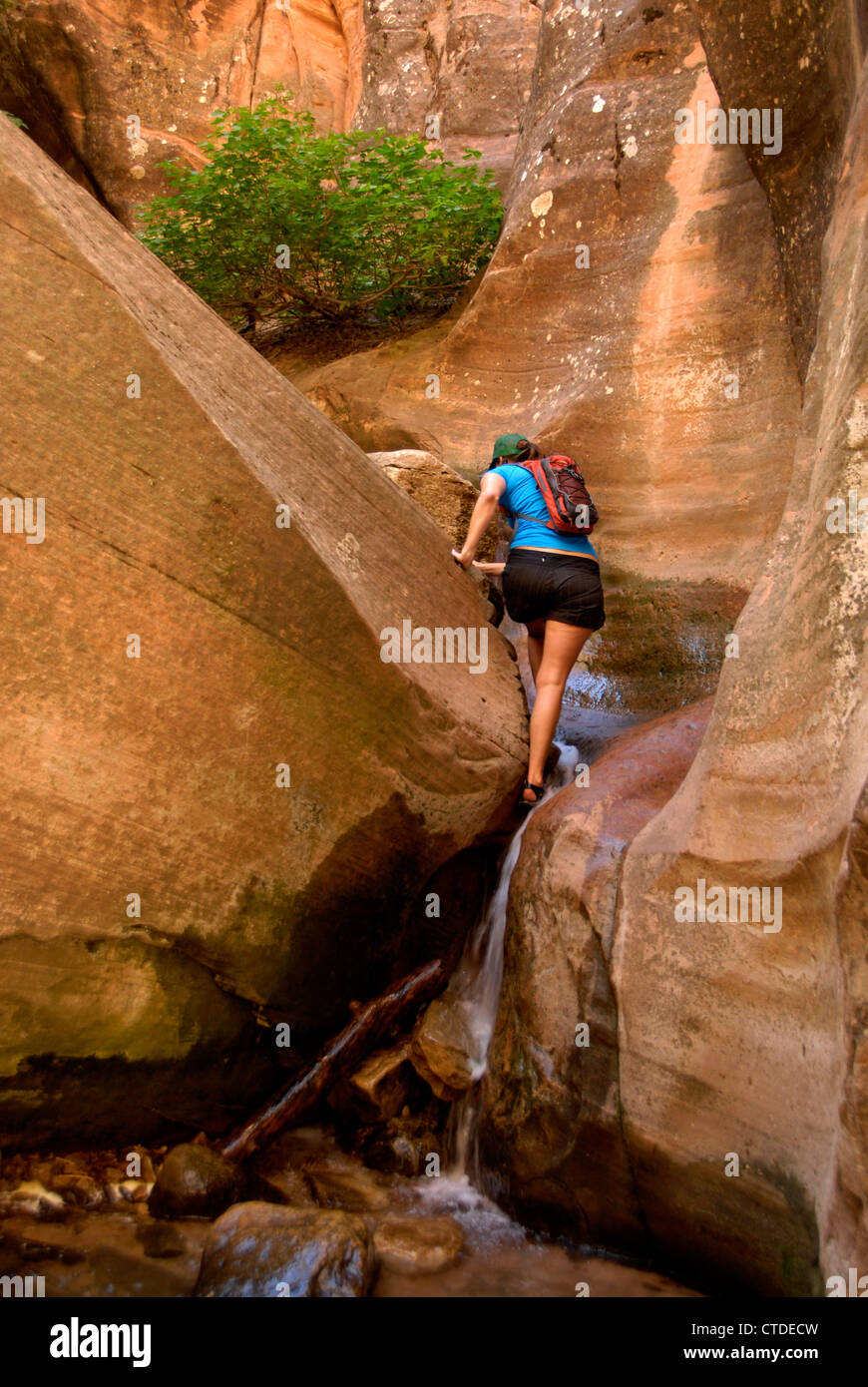 Slot canyons near zion national park south rim Slot canyons near zion national park south rim