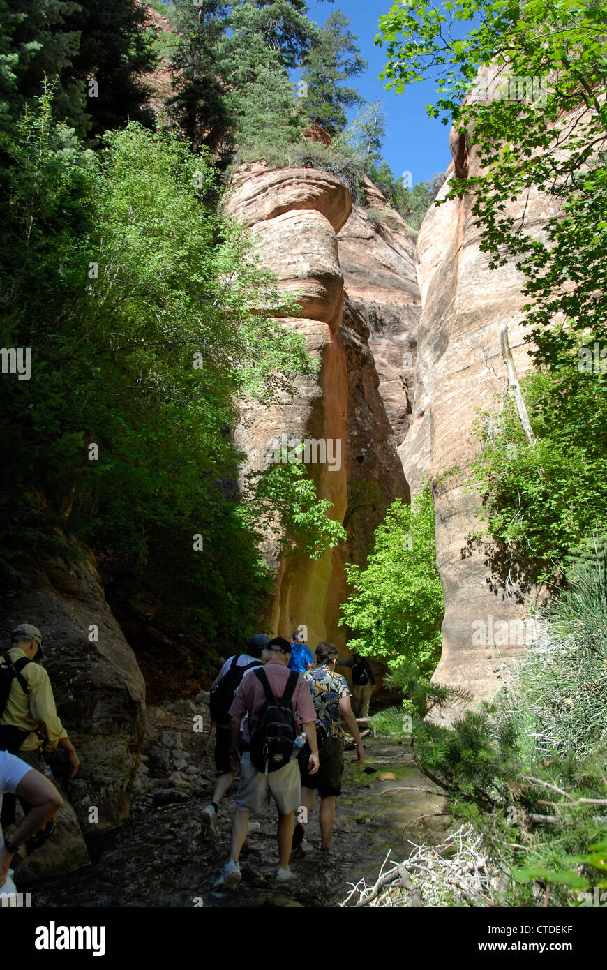 Kanarra Creek slot canyon hiking on BLM land near Kolob Canyons, Zion