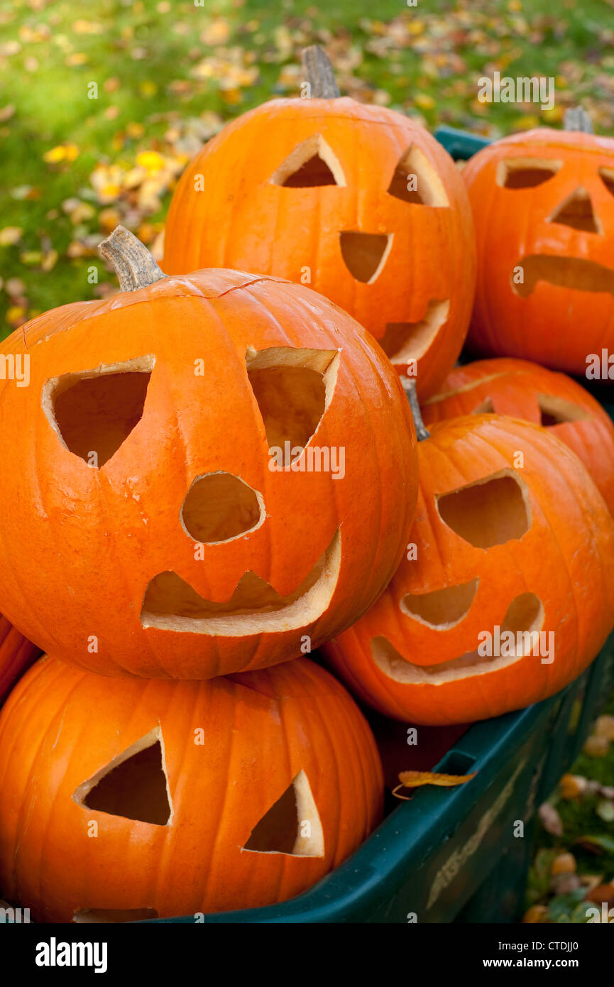 Halloween Pumpkins, Autumn Holiday. Pumpkin House with Cut Out