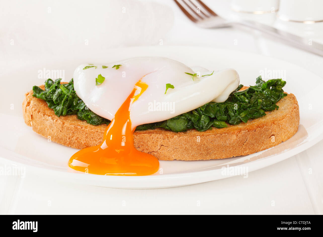Toast with spinach and a free range poached egg. Stock Photo
