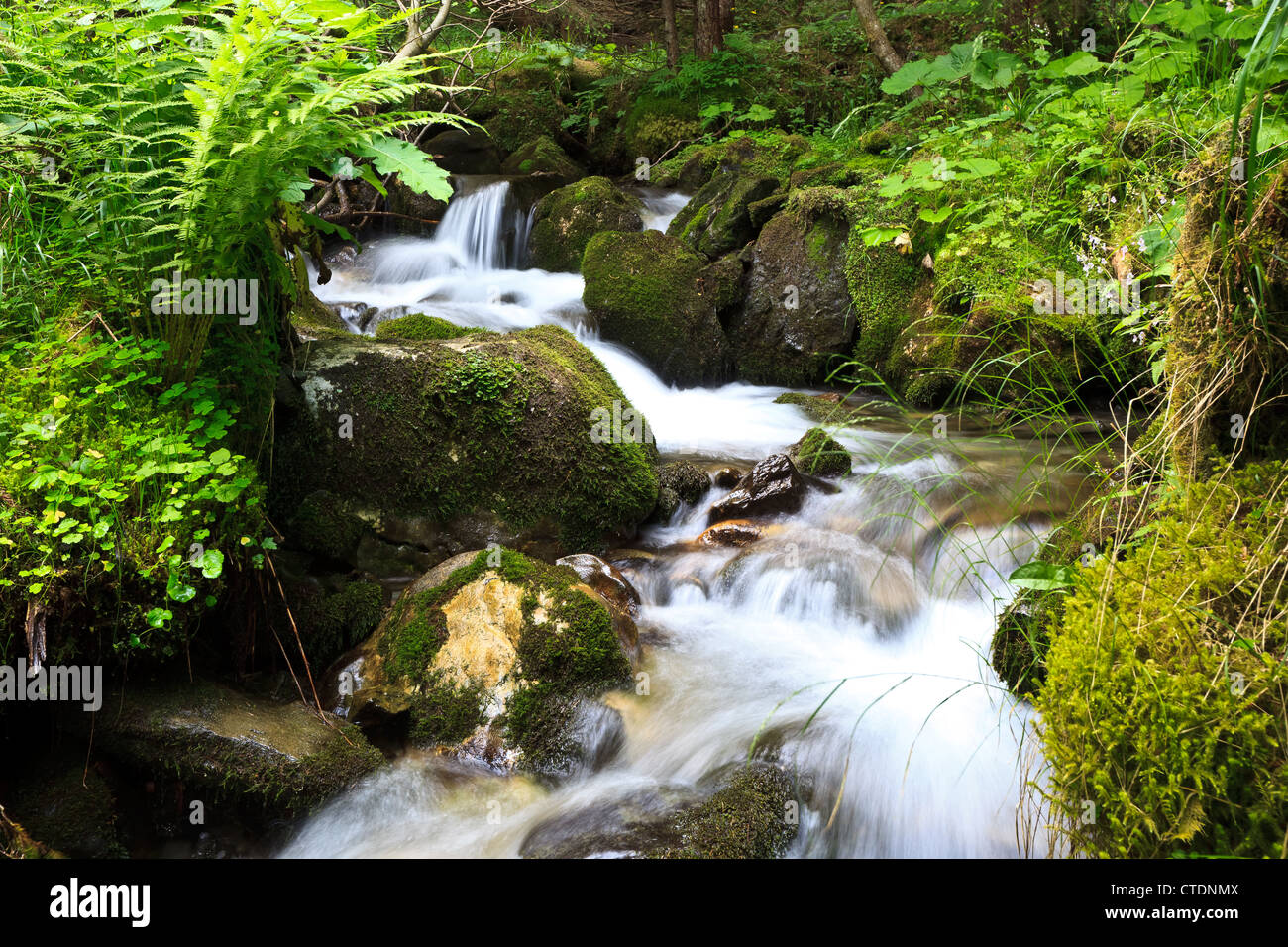Water flow mountain river hi-res stock photography and images - Alamy