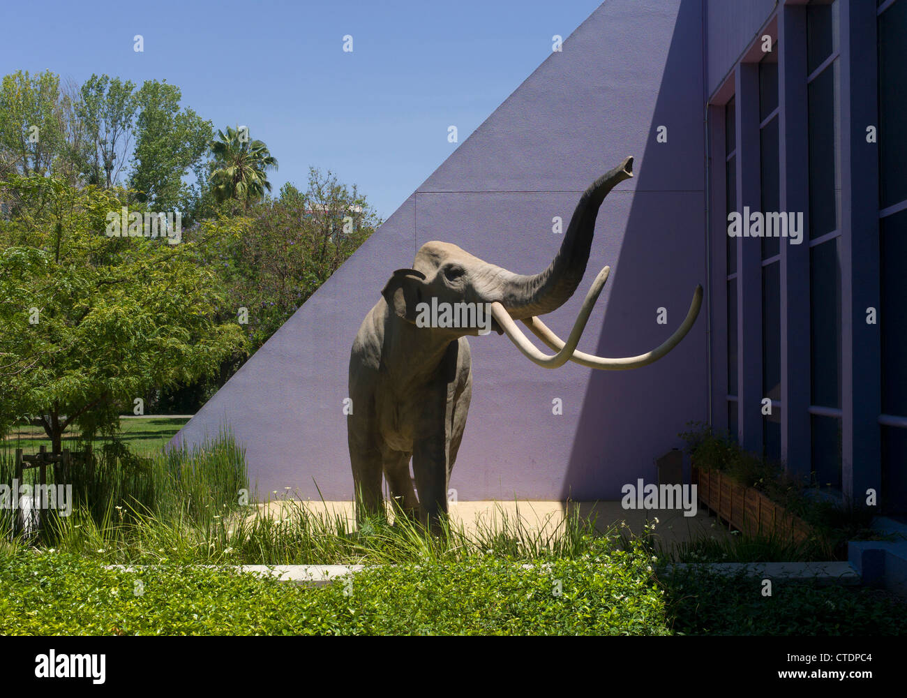 A mammoth model is seen at the Childrens Discovery museum in San Jose, California Stock Photo