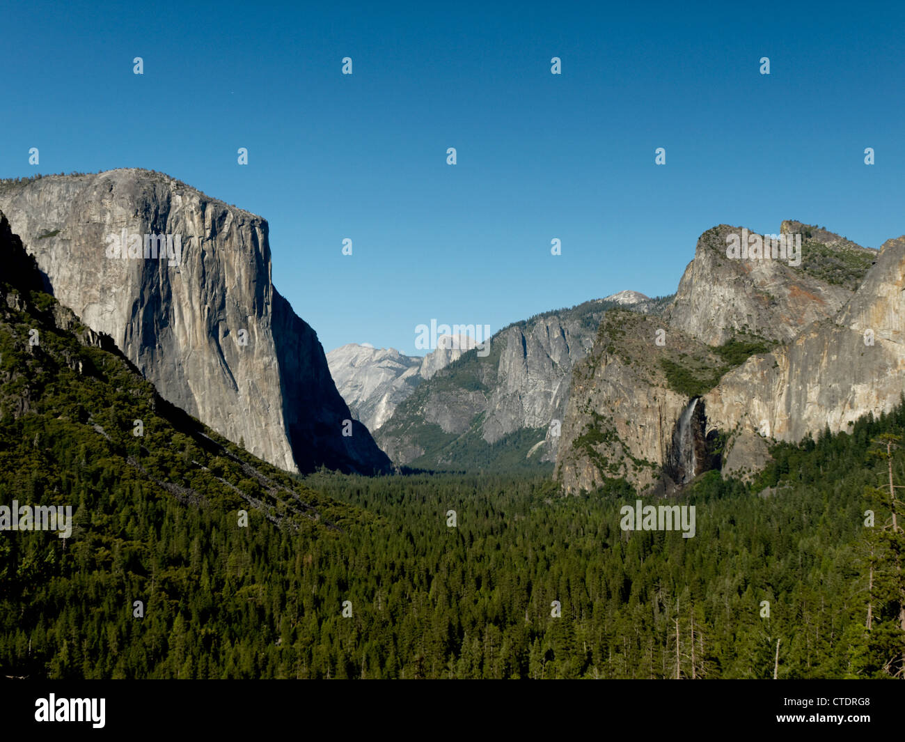 Famous tree tunnel hi-res stock photography and images - Alamy