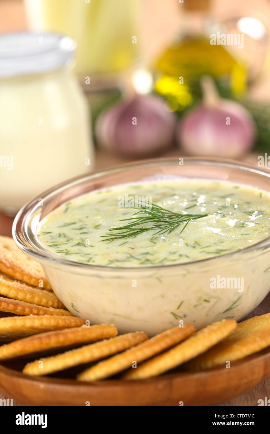 Tzatziki, a Greek and Turkish sauce, made of joghurt, cucumber, garlic, olive oil and dill with salty crackers to dip Stock Photo