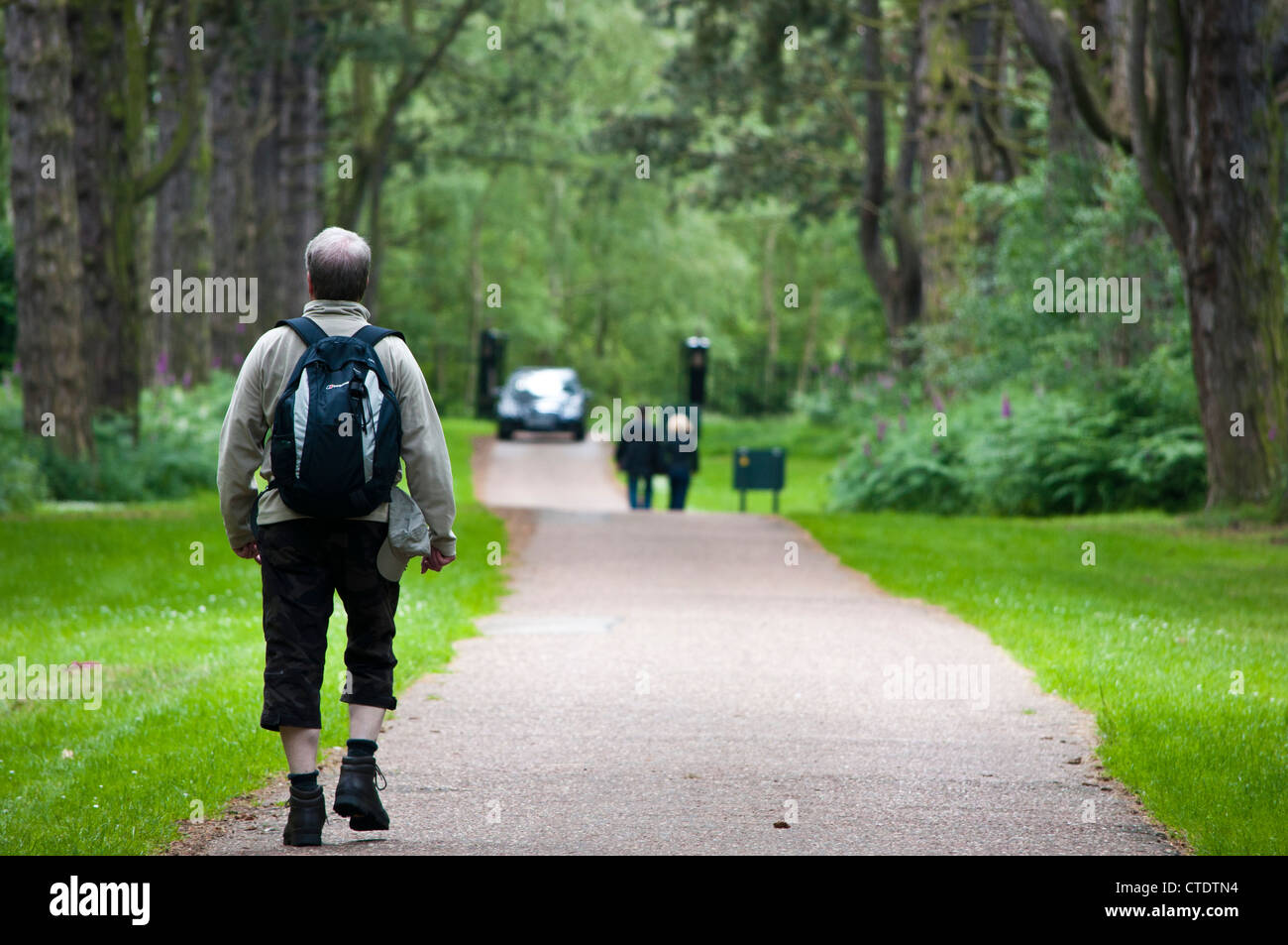 Walkers and cars on Scenic Drive Sandringham Estate Stock Photo