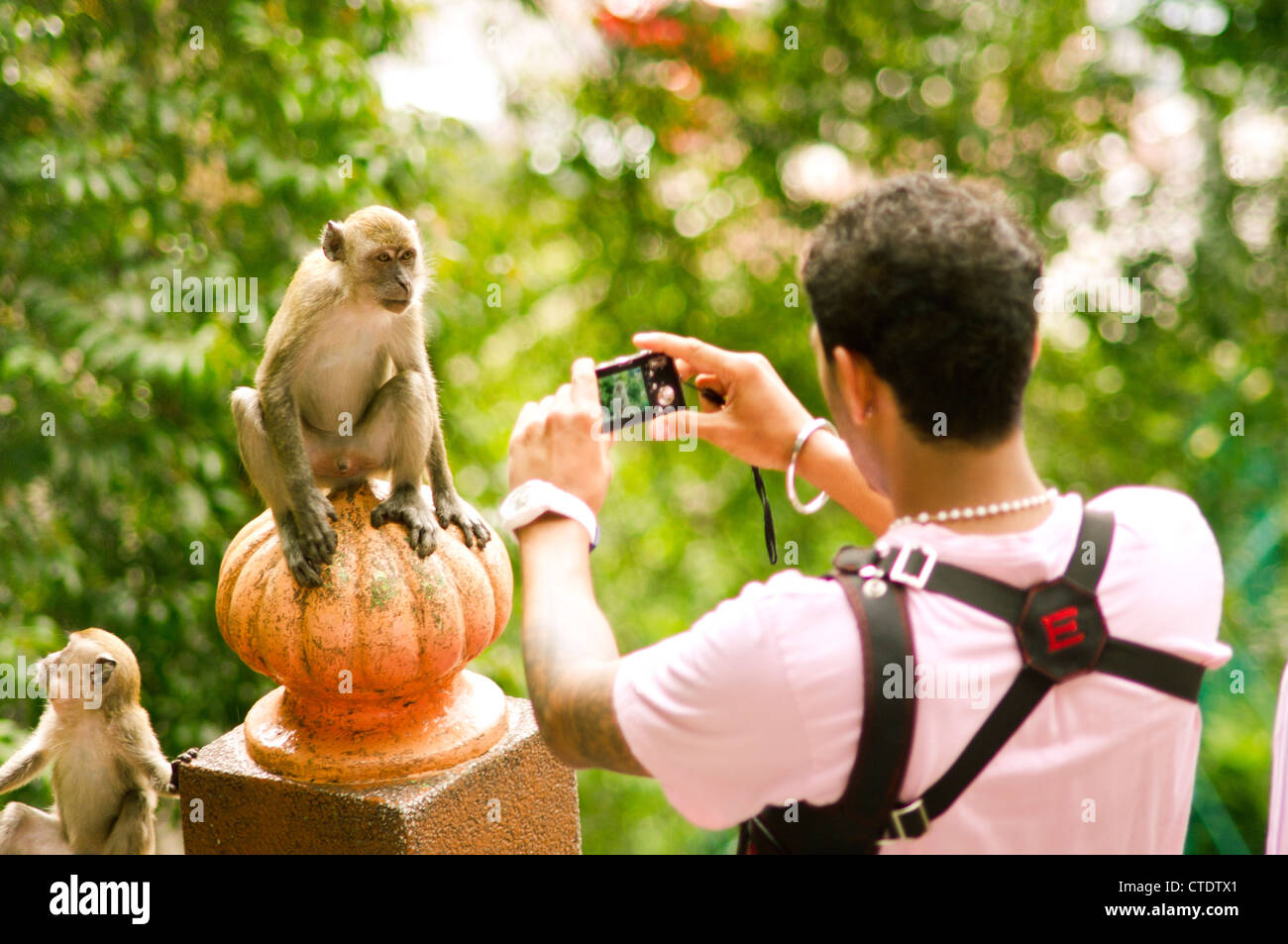 tourist takes pictures of monkey at Batu Cave of Malaysia. Batu Cave is a cave temple for hindu community in Malaysia. Stock Photo