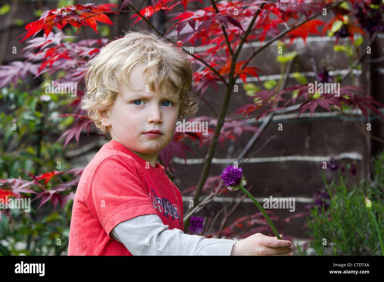 Young boy gardening Stock Photo