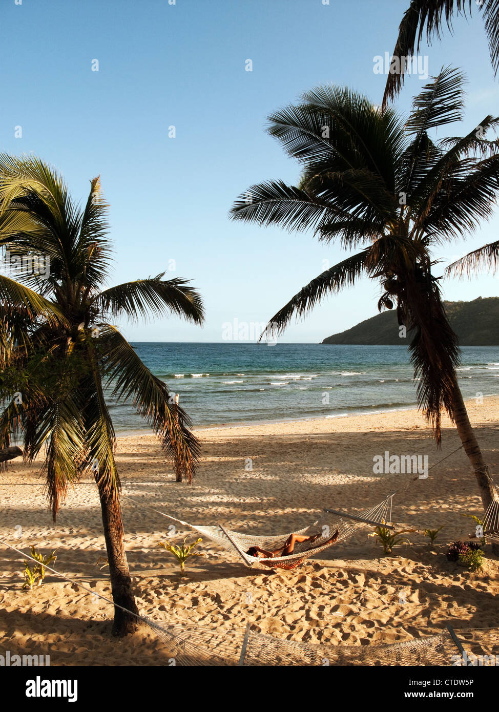 Waya Lailai Island, Fiji; palm trees with woman in hammock Stock Photo