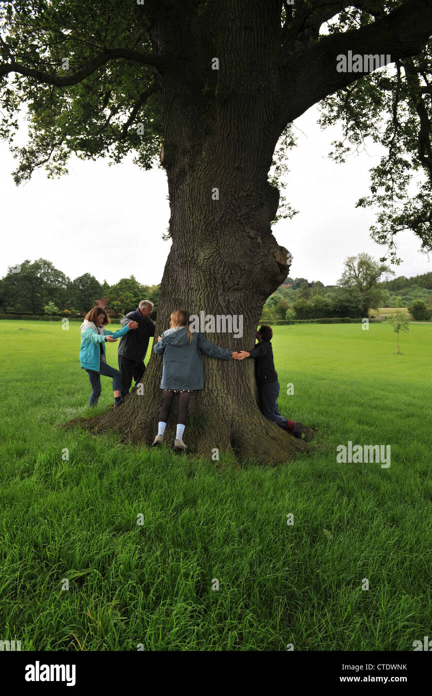 Four people link arms around an old English oak tree Stock Photo