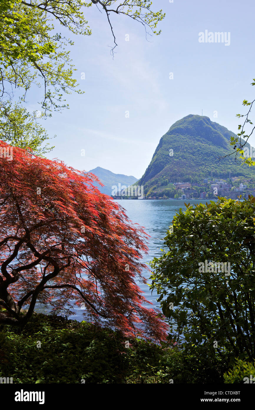 View of Monte San Salvador from Parco Civico, Lugano, Lake Lugano, Ticino, Switzerland, Europe Stock Photo