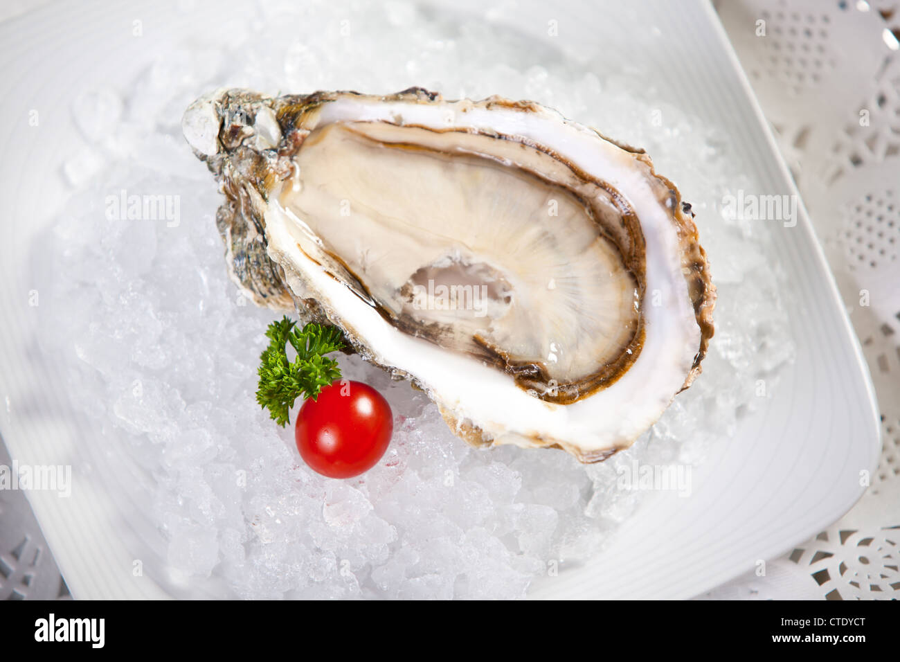 Oysters on ice, close-up photo, small dof Stock Photo