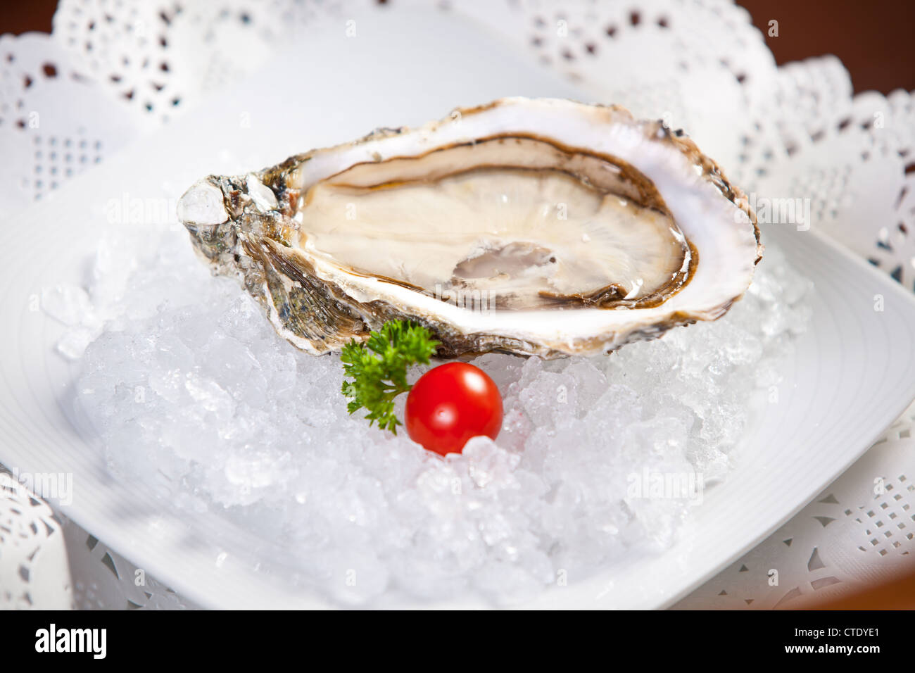 Oysters on ice, close-up photo, small dof Stock Photo